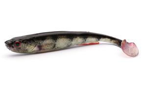 GUMA DAIWA PROREX SLIM SHADY LIVE - REAL PERCH