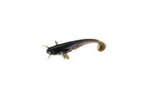 GUMA FISHUP CATFISH 043-3"/75mm/8szt