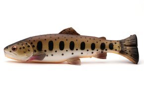 GUMA SAVAGE GEAR 3D CRAFT TROUT PULSETAIL - BROWN TROUT SMOLT