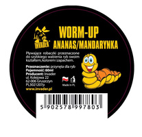 KULKI WORM UP INVADER - ANANAS/MANDARYNKA 60ml