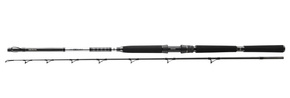 WĘDKA DAIWA BG DEEP SEA 220/150-300g