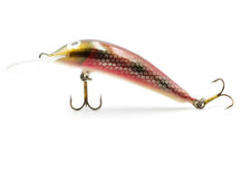 WOBLER GĘBALA TROUT 5.0 DR - 5 cm-12