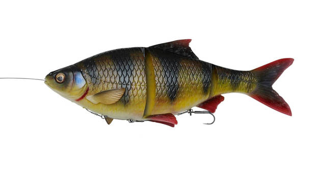 GUMA SAVAGE GEAR 4D LINE THRU ROACH MS - PERCH