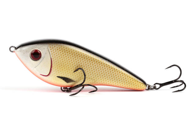 JERK WESTIN SWIM GLIDEBAIT 10cm/31g- OFFICIAL ROACH