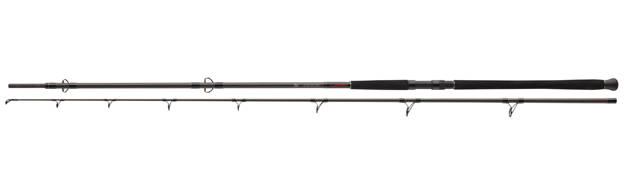 WĘDKA DAIWA EXCELER CATFISH BOJE 270/200-600g