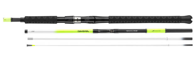 WĘDKA DAIWA SEALINE X TREME ITERLINE 225/100-250g