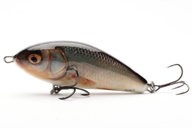 WOBLER SALMO FATSO SINKING 10cm - REAL ROACH