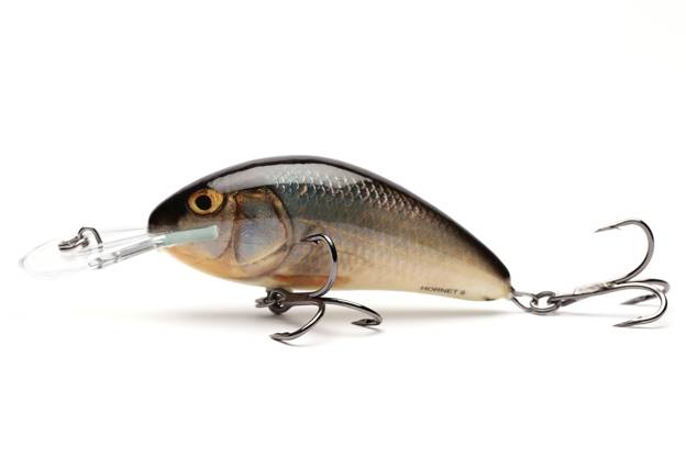 WOBLER SALMO HORNET FLOATING 9cm- REAL ROACH