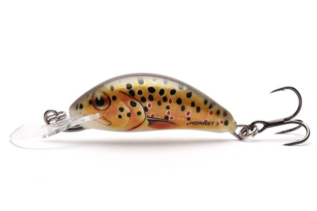 WOBLER SALMO HORNET SINKING 2,5cm - QHT002 TROUT