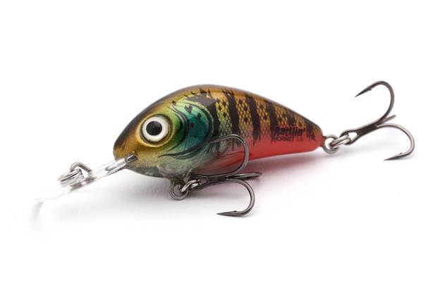 WOBLER SALMO RATTLIN HORNET F 3,5cm - HOT GILL CLEAR