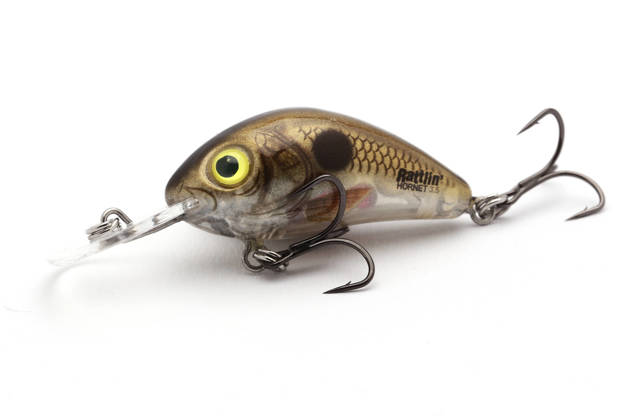 WOBLER SALMO RATTLIN HORNET F 3,5cm - PEARL SHAD CLEAR