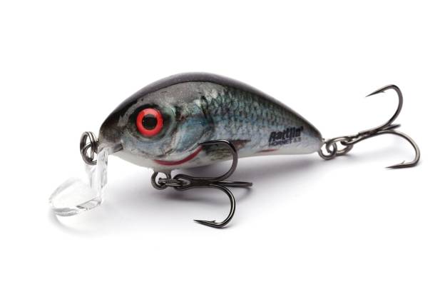 WOBLER SALMO RATTLIN HORNET SHALLOW 4,5cm-HRD