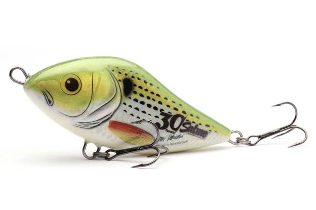 WOBLER SLIDER SINKING 10cm - HOLO GREEN STRIPER - SALMO 