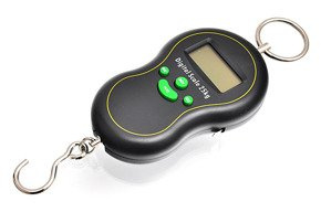 WAGA ELEKTRONICZNA STANDARD YORK