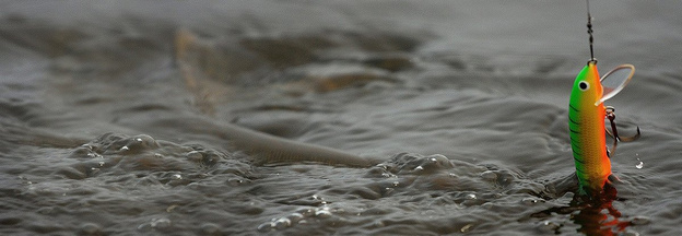 WOBLER GLOOG NIKE - NP