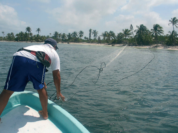 SIATKA RZUTOWA RON THOMPSON MANITOBA