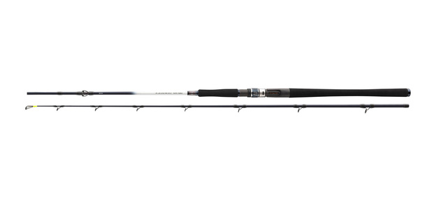 WĘDKA DAIWA GRANDWAVE HALIBUT BC 225/15-25lb