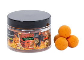 KULKI PROTEINOWE WAFTER ANACONDA HALLOWEEN 20mm