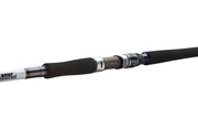 WĘDKA DAIWA GRANDWAVE COD 240/150-300g