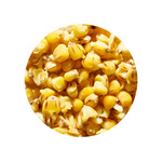 ZIARNA ZANĘTOWE GENLOG - KUKURYDZA TRUSKAWKA