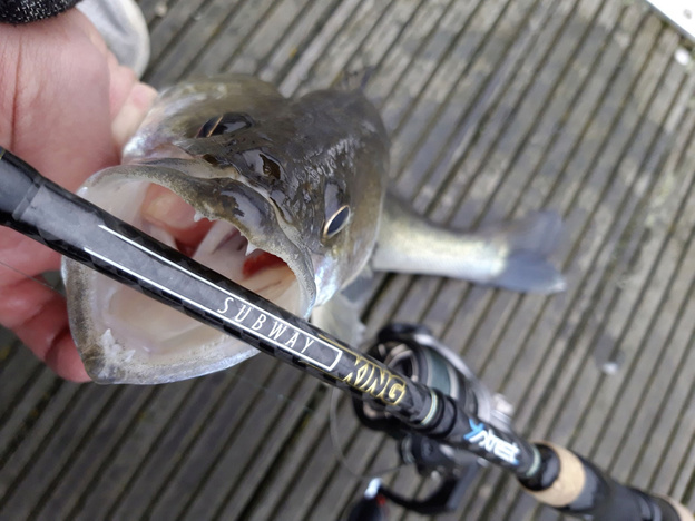 14190240 - QUANTUM WĘDKA 4STREET SUBWAY KING 240/7-35g