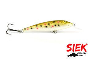 WOBLER SIEK UKLEJA IGŁA 7cm - 21