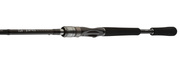WĘDKA DAIWA PRO STAFF ZANDER 250/14-42g