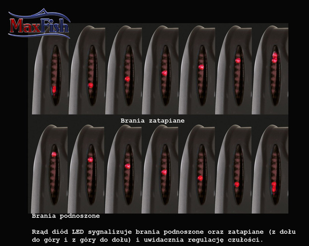 ZESTAW SYGNALIZATORÓW Z CENTRALKĄ CORMORAN F-8000 3+1