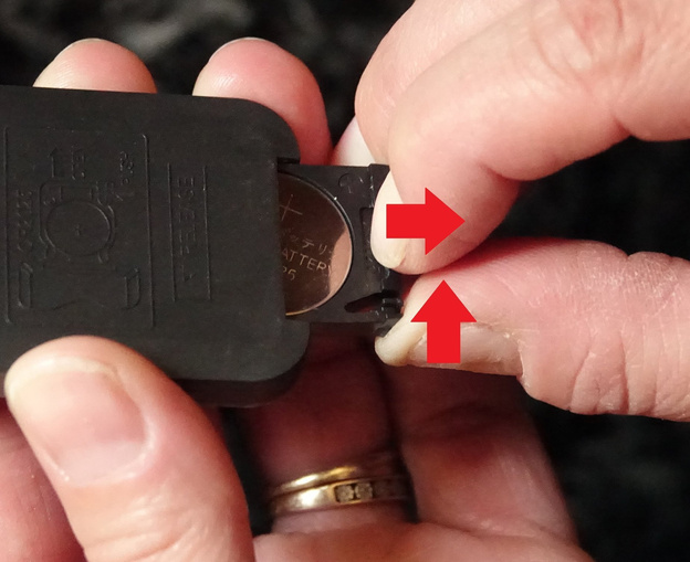 LAMPA BIWAKOWA PROLOGIC Z PILOTEM GUARDIAN