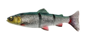 GUMA SAVAGE GEAR 4D LINE THRU TROUT S - GREEN SILVER