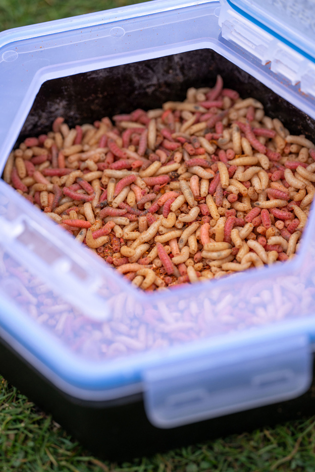 PUDEŁKO NA PRZYNĘTY ZEBCO SECURE-LOCK BAIT BOX 1,0l