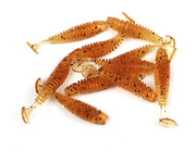 LSP15-004 - LURE MAX OPAKOWANIE GUM PICOLINO 004 - 3,5cm/10szt