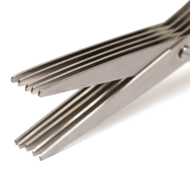 NOŻYCZKI YORK DO CIĘCIA ROBAKÓW