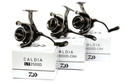 KOŁOWROTEK DAIWA CALDIA LT 2500D