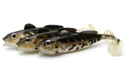 GUMA BERKLEY PULSE REALISTIC GOBY - BULLHEAD 1szt