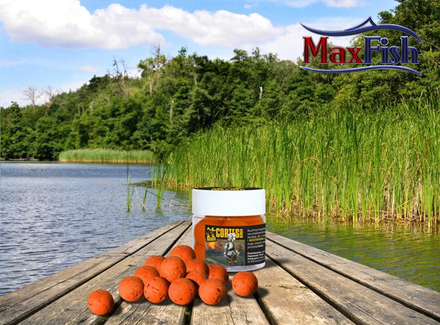 KULKI POP UP INVADER CORTES 150ml