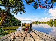 KULKI HACZYKOWE INVADER DRACULA 250ml