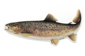 NAKLEJKA WĘDKARSKA JENZI - PSTRĄG XL-23cm