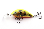 UNIKATOWY WOBLER SALMO RATTLIN HORNET F 5,5cm - GOLD FLUO PERCH