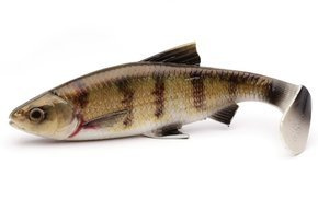 637 - SAVAGE GEAR GUMA 4D RIVER ROACH - ZANDER