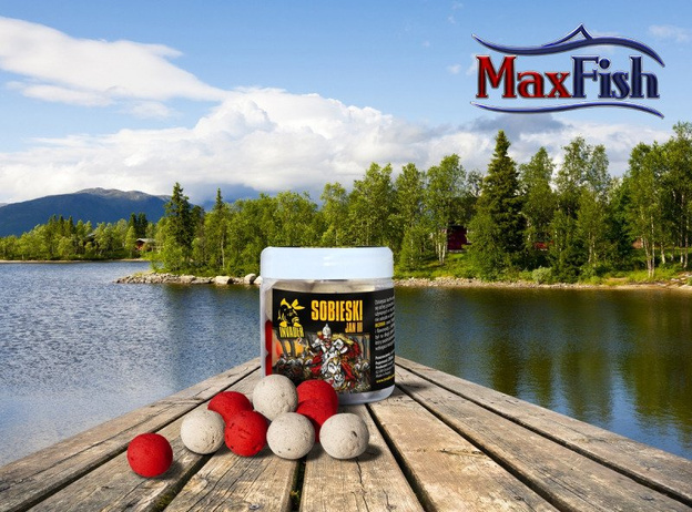 KULKI HACZYKOWE INVADER SOBIESKI 250ml