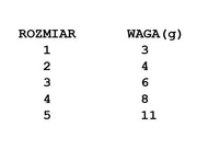 OBROTÓWKA DAM EFFZETT EXECUTOR - REFLEX RED