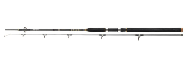 WĘDKA DAIWA BG OFFSHORE 270/40-125g