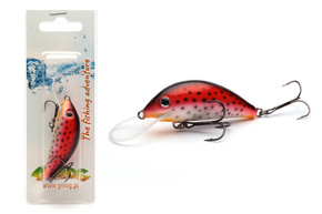 WOBLER GLOOG  HEKTOR N60 TRO