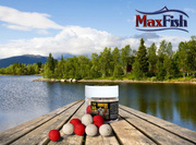 KULKI POP UP INVADER SOBIESKI 150ml