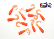 11 - YORK GUMA SCENTIX V4