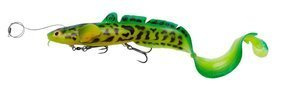 72397 - SAVAGE GEAR PRZYNĘTA 3D LINE THRU BURBOT - FIRETIGER 50cm/435g