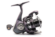 KOŁOWROTEK DAIWA 24 REGAL LT 1000D-XH