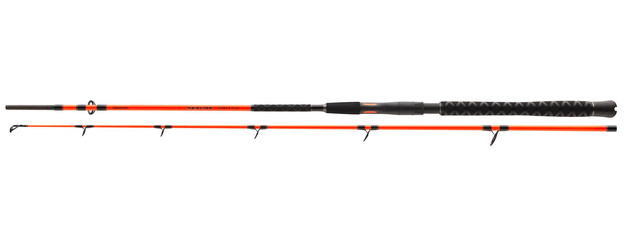 WĘDKA DAIWA SEALINE PILK 225/200-500g