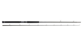 WĘDKA WESTIN W2 PREDATOR TROLLING 255/60-180g